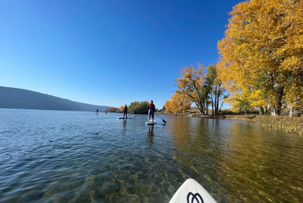 Paddle boarders paddling on a lake