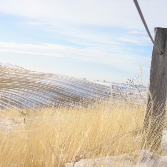 Field near EWU