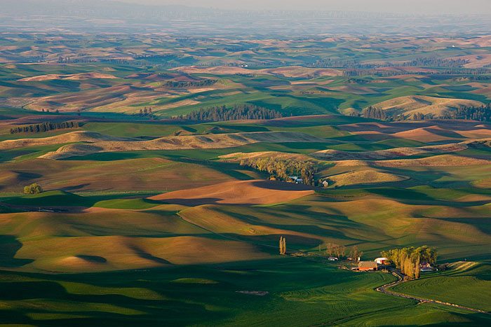 Palouse Sunrise