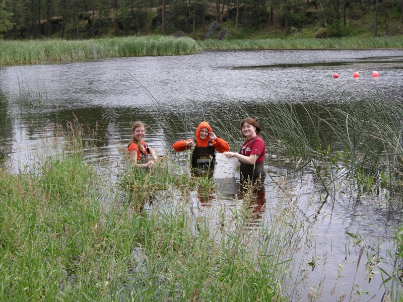 Day 1 in pond 3