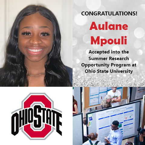 Aulane Mpouli Summer Research Acceptance 2020