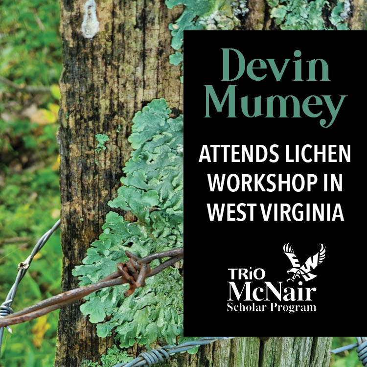 Devin Mumey attends lichen workshop in West Virginia