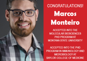 Photo of Marcos Monteiro next to red confetti background with text congratulating him on acceptance into two PhD programs.