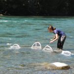 Someone casting a net into a river