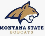 montana st. logo