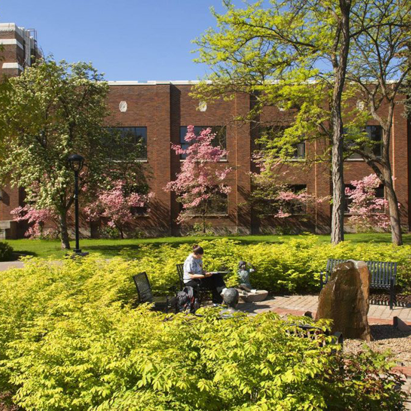 Garden on EWU campus