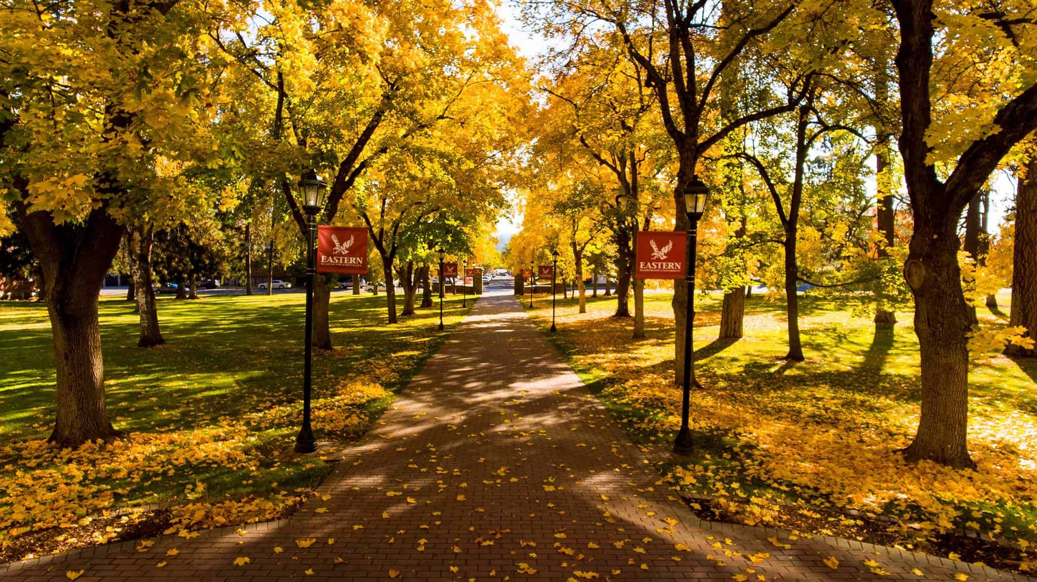 Ewu in the fall